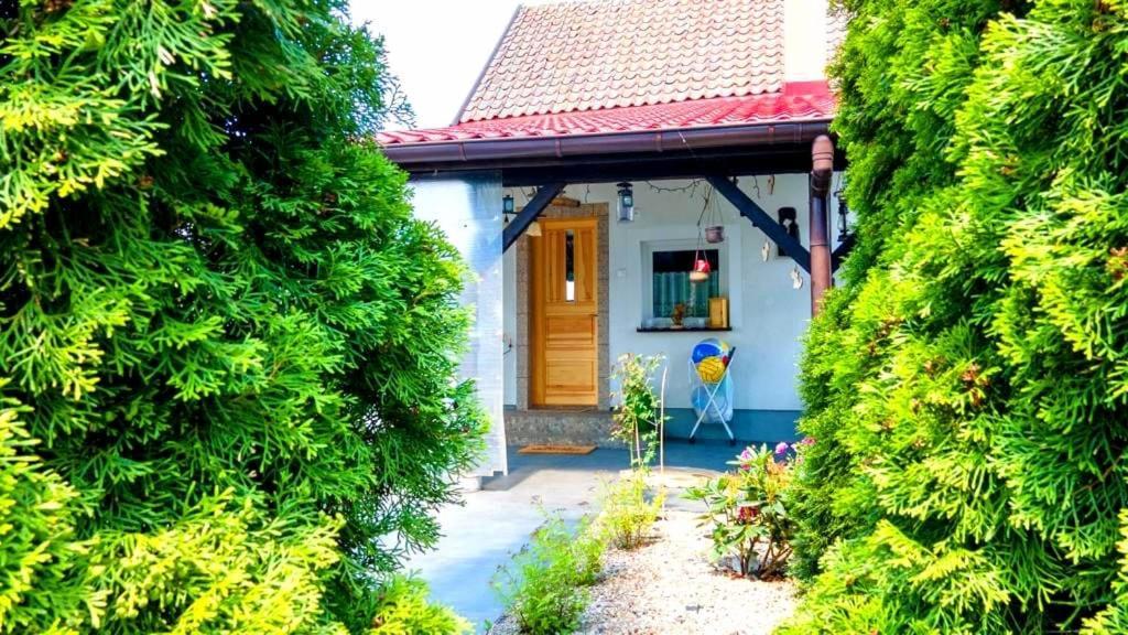 Mazurski Dom Brejdyny Sauna I Bania Holiday home